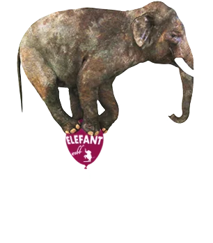 Läs mer om Elefant Webb